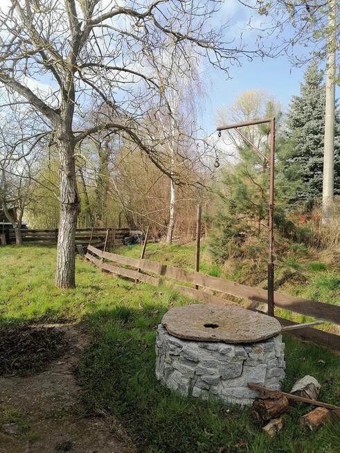 Działka ROD z linią brzegową