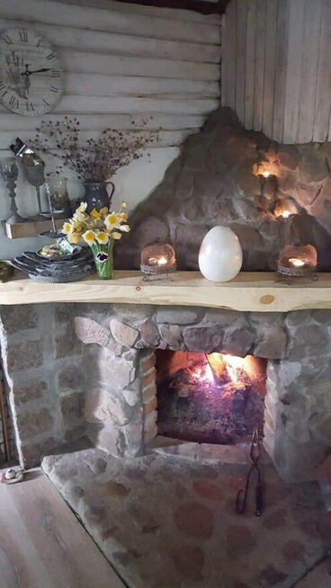 Wyjątkowa zalesiona działka ROD z całorocznym domem Poznań