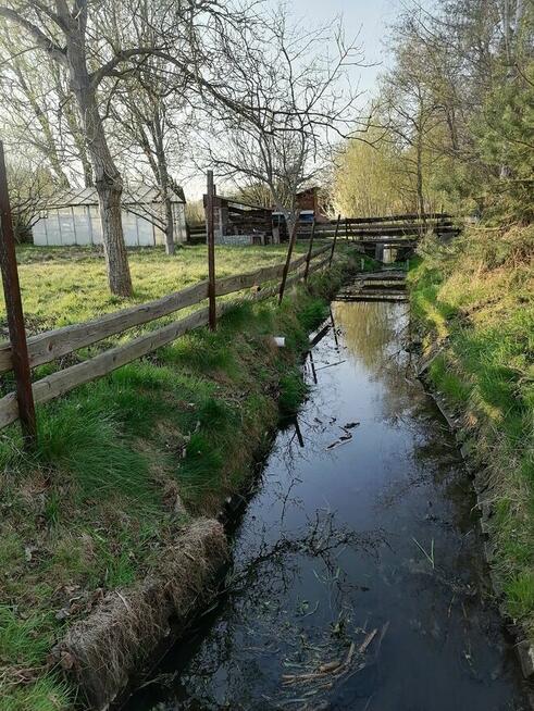 Działka ROD z linią brzegową