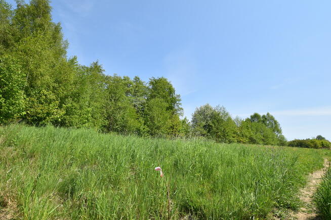 Grunt z warunkami zabudowy - 33,10 ar Rzeszów