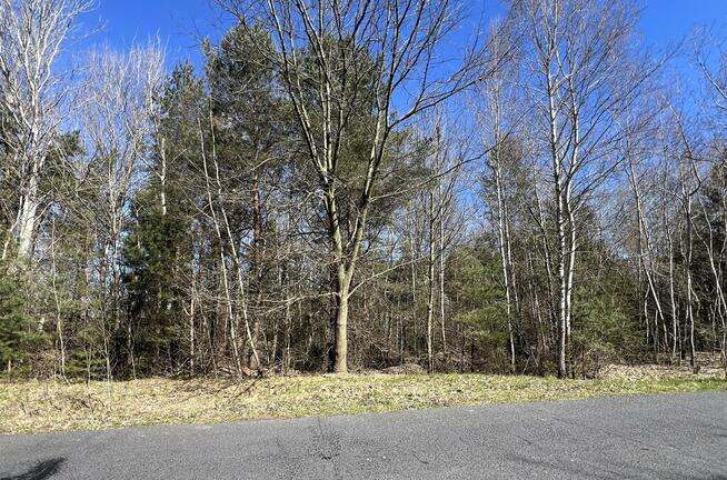 Działka Rekreacyjna, Tyśmienica, Gm. Parczew