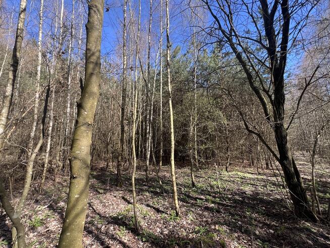 Działka Rekreacyjna, Tyśmienica, Gm. Parczew