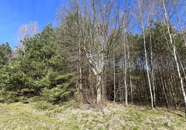 Działka Rekreacyjna, Tyśmienica, Gm. Parczew