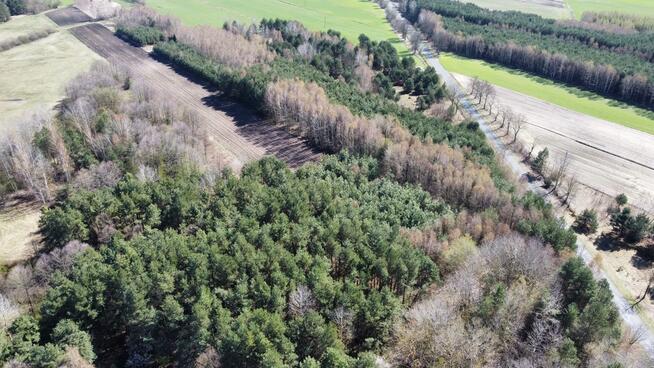 Działka Rekreacyjna, Tyśmienica, Gm. Parczew