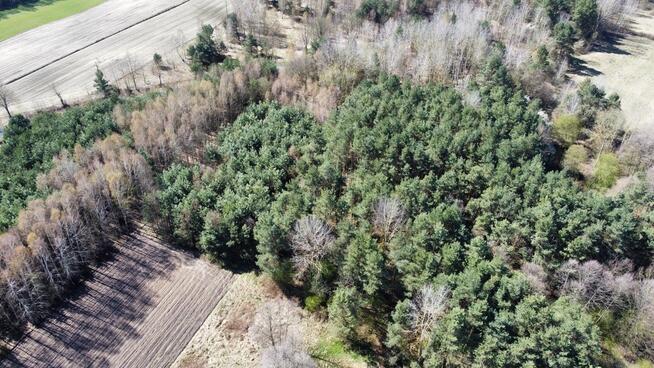 Działka Rekreacyjna, Tyśmienica, Gm. Parczew