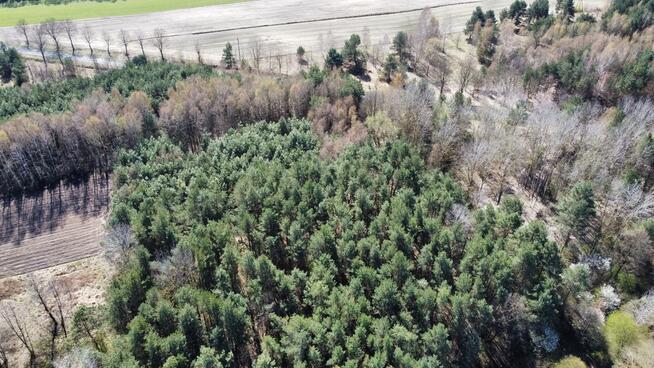 Działka Rekreacyjna, Tyśmienica, Gm. Parczew