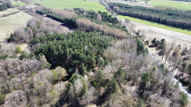 Działka Rekreacyjna, Tyśmienica, Gm. Parczew