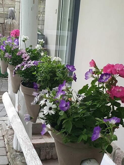 Wyjątkowa zalesiona działka ROD z całorocznym domem Poznań