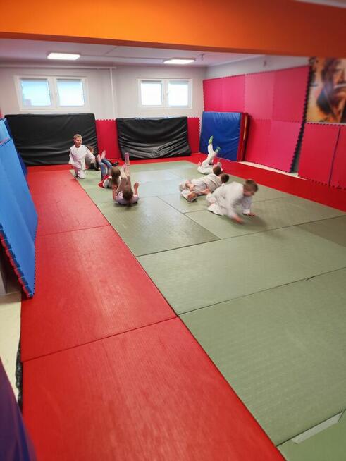 Dla przedszkolaków: zajęcia z elementami JUDO.