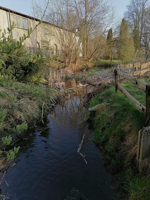 Działka ROD z linią brzegową