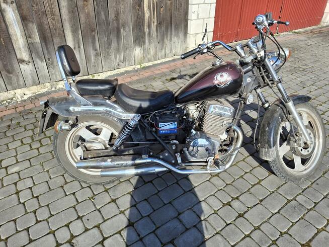 Sprzedam Regat Raptor