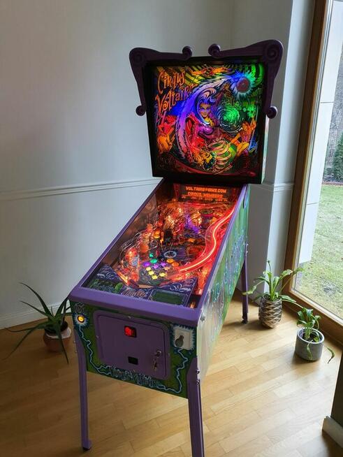 Serwis automatów do gier #PinballServicePoland