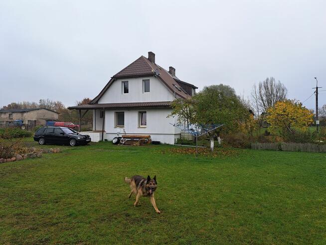 Oddam w dobre ręce