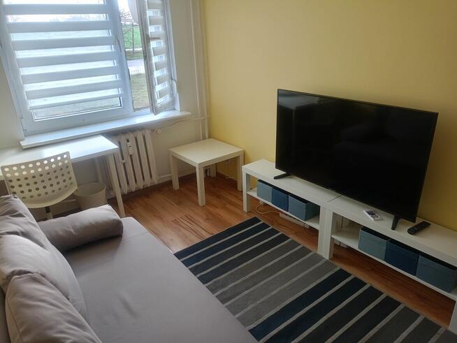 Pokój jednoosobowy do wynajęcia.