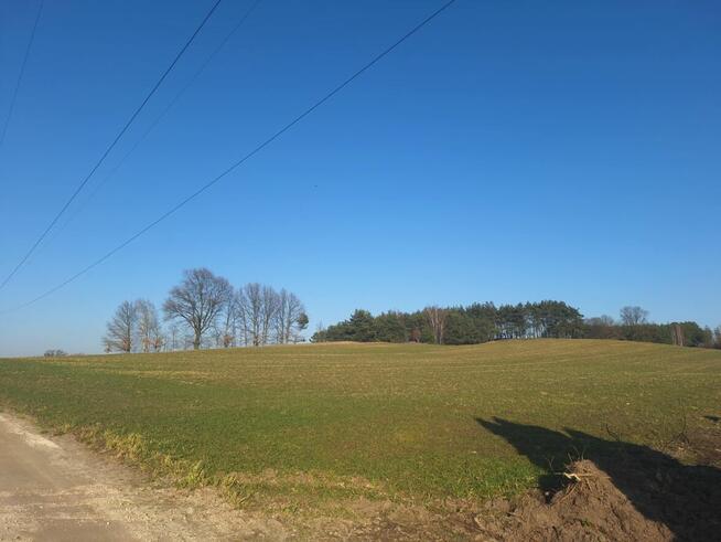 Działka rolna 2,94ha i/lub działkę zadrzewiona 5,05ha