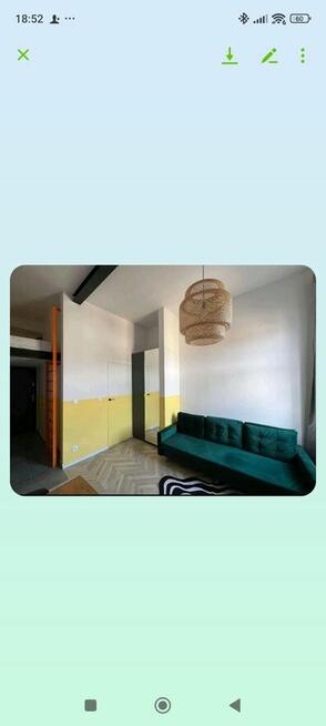 Przytulna kawalerka - zwierzęta