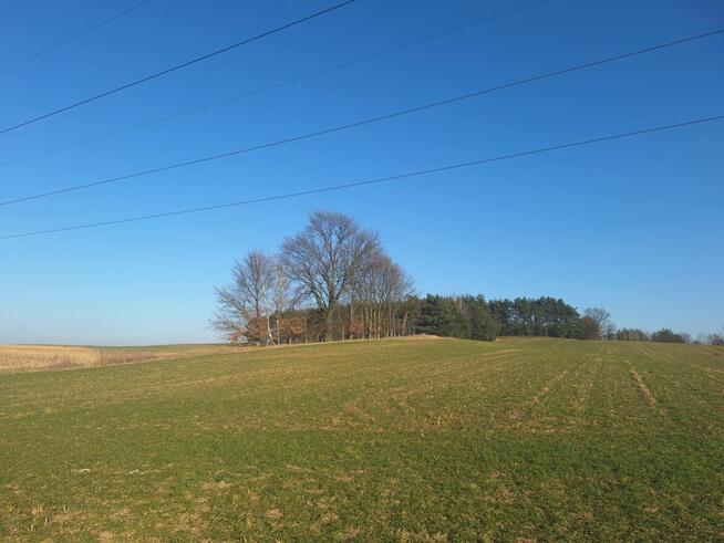 Działka rolna 2,94ha i/lub działkę zadrzewiona 5,05ha