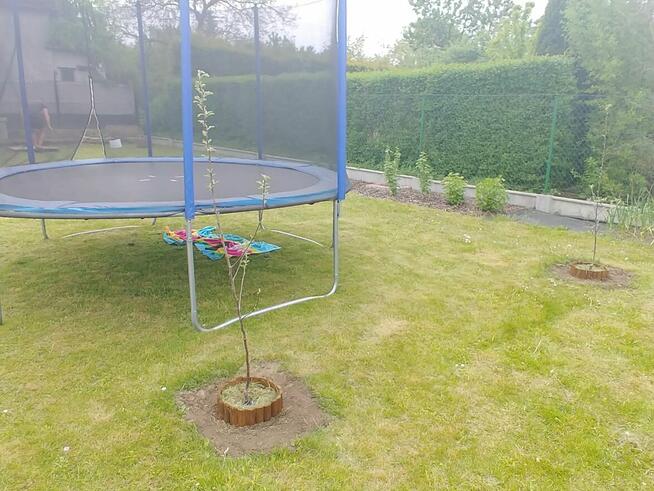 Działka rekreacyjna