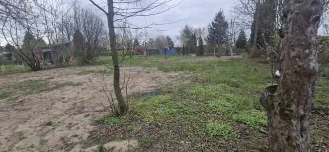 Działka ROD Kopernik 500 m2