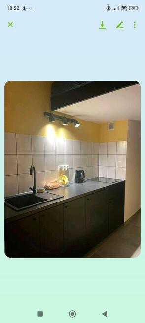 Przytulna kawalerka - zwierzęta