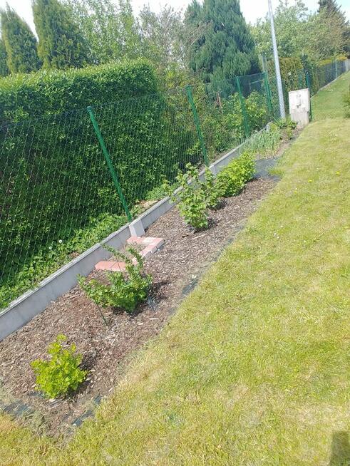 Działka rekreacyjna