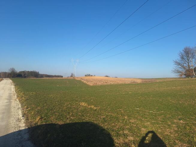 Działka rolna 2,94ha i/lub działkę zadrzewiona 5,05ha