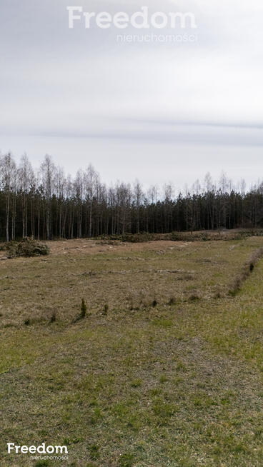 Polska Wieś - działka z WZ