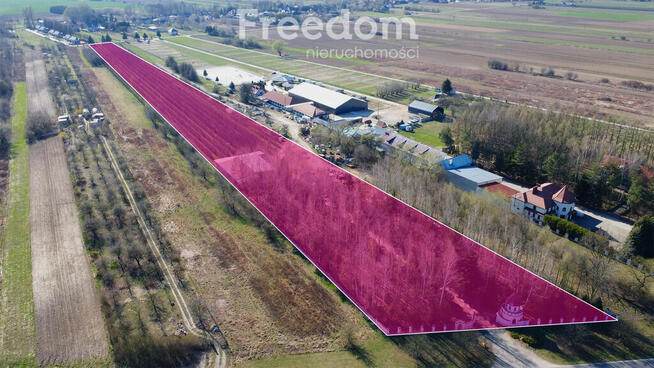 Teren 2,2 ha Czernidła obok Konstancina Jeziorna