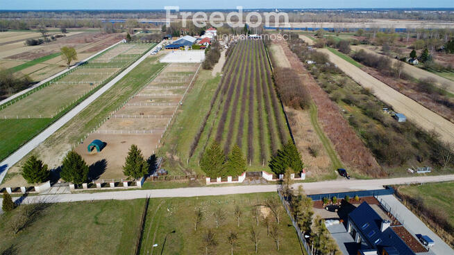 Teren 2,2 ha Czernidła obok Konstancina Jeziorna
