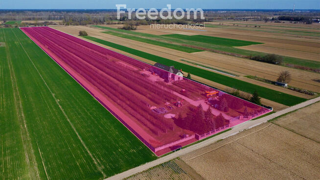 Piękne siedlisko z domem i halą obok Konstancina