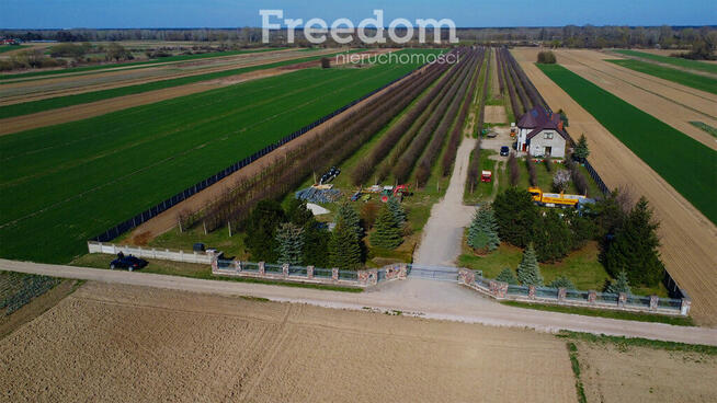 Piękne siedlisko z domem i halą obok Konstancina