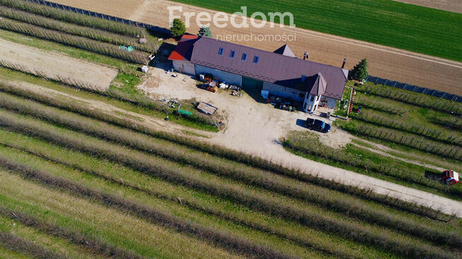 Piękne siedlisko z domem i halą obok Konstancina