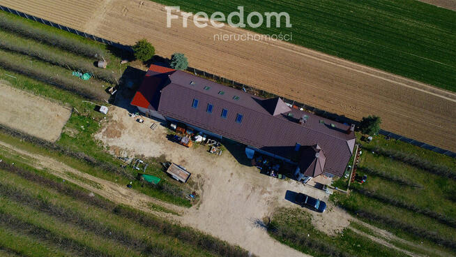 Piękne siedlisko z domem i halą obok Konstancina