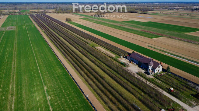 Piękne siedlisko z domem i halą obok Konstancina