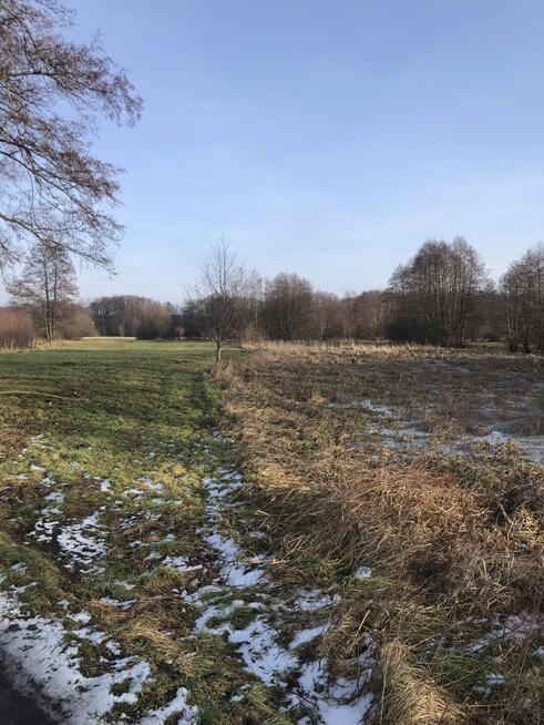 Kalisz budowlana w wyjątkowym miejscu