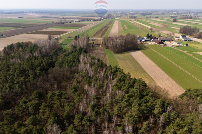 Działka leśna na sprzedaż - Albinów gmina Głowno