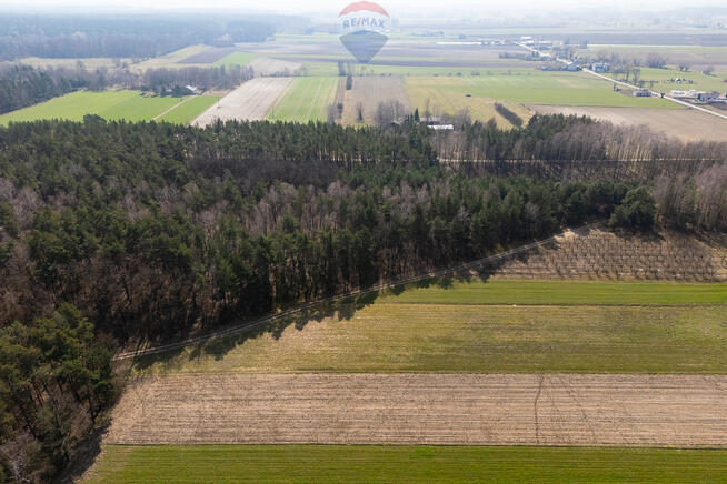 Działka leśna na sprzedaż - Albinów gmina Głowno