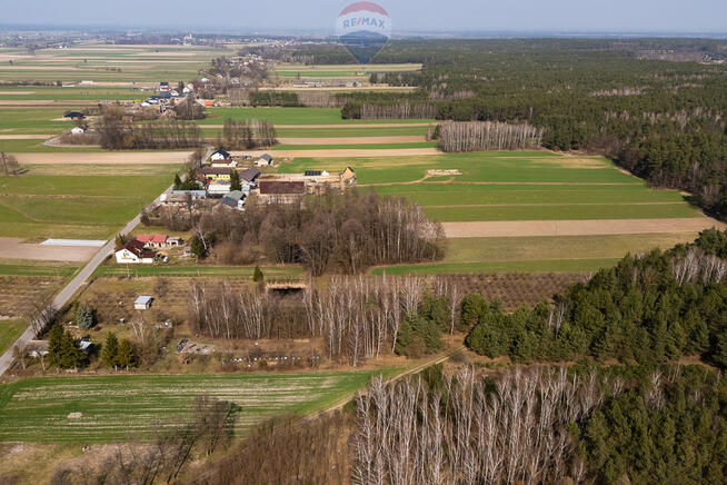 Działka leśna na sprzedaż - Albinów gmina Głowno