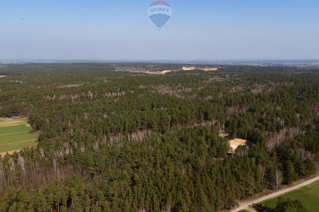 Działka leśna na sprzedaż - Albinów gmina Głowno