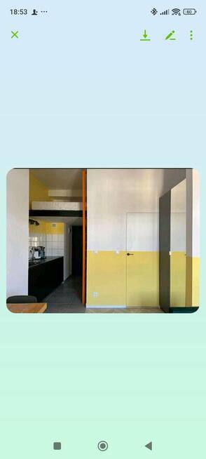 Przytulna kawalerka - zwierzęta