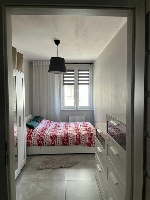 Do wynajęcia mieszkanie - osiedle parkowe