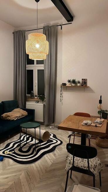 Przytulna kawalerka - zwierzęta