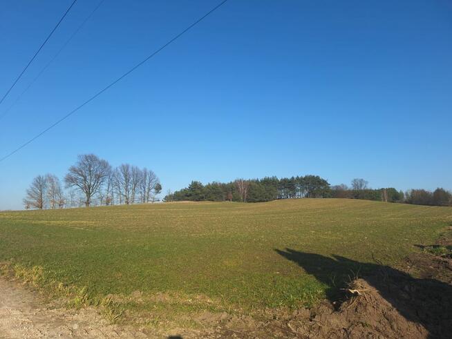 Działka rolna 2,94ha i/lub działkę zadrzewiona 5,05ha