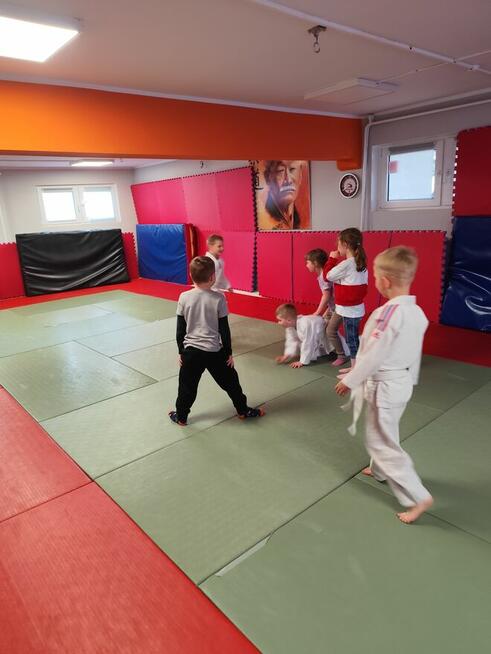 Dla przedszkolaków: zajęcia z elementami JUDO.