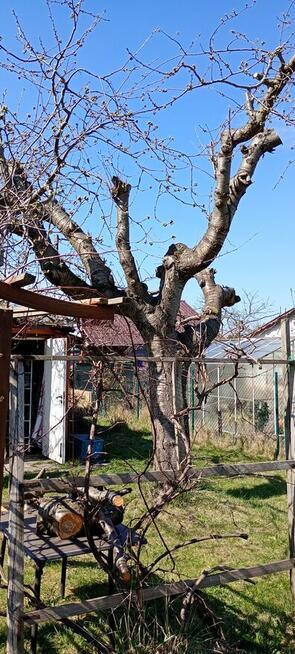 Sprzedaż działki ogrodowej.