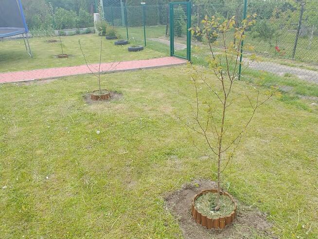 Działka rekreacyjna