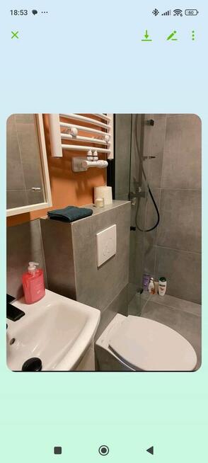 Przytulna kawalerka - zwierzęta