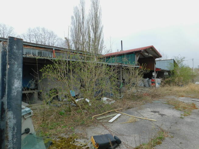 Syndyk sprzeda - Szydłowiec, ul. Tadeusza Kościuszki