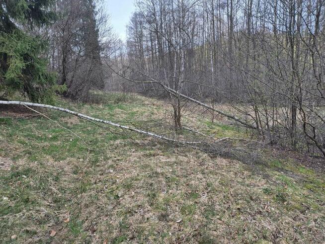 Grunt, działka
