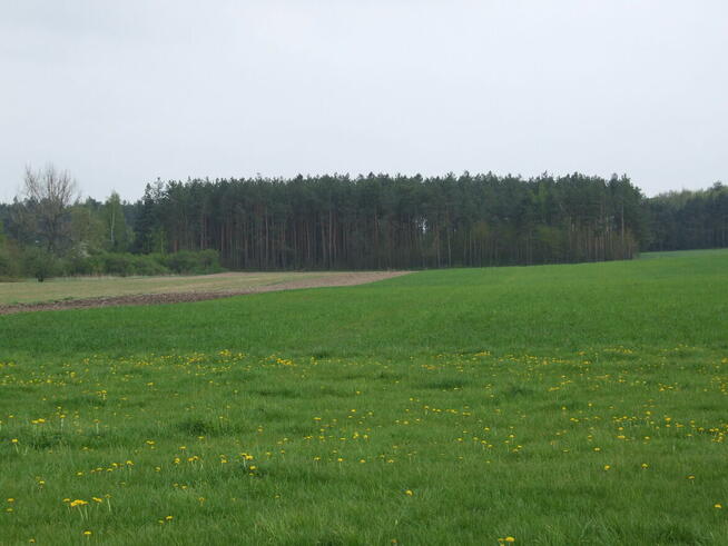 Gospodarstwo 2,5ha Hruszew gm. Platerów